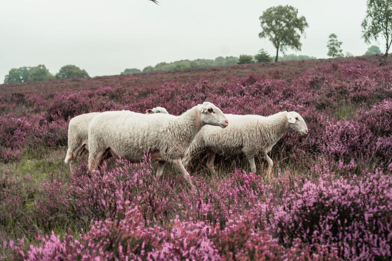 Veluwe Hotel De Beyaerd Hulshorst Eksteriør billede