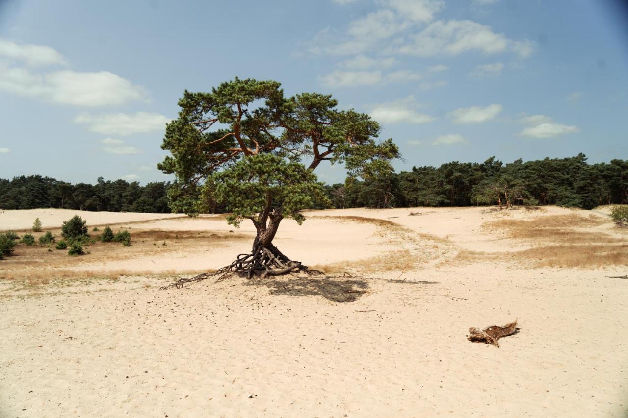 Veluwe Hotel De Beyaerd Hulshorst Eksteriør billede
